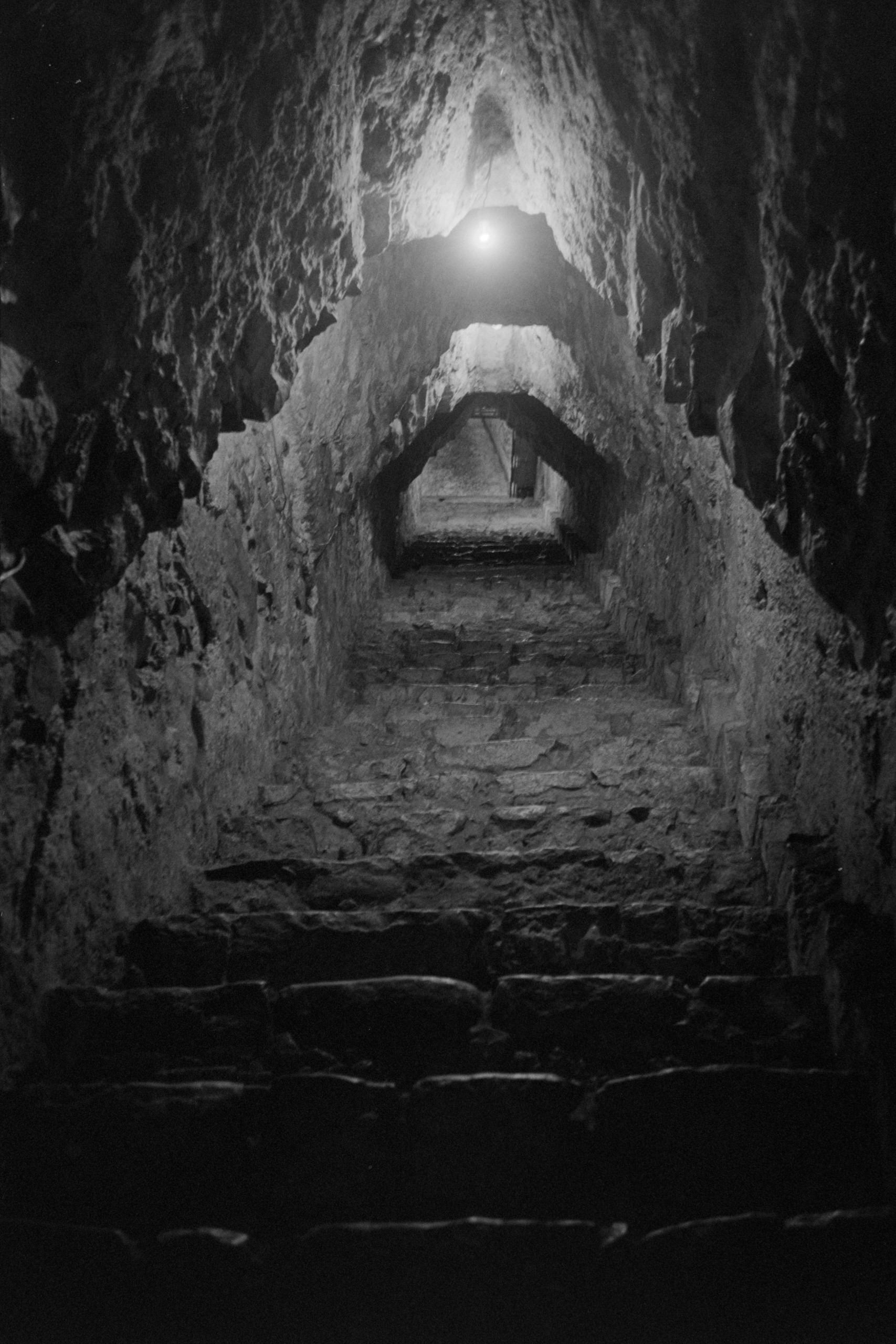 AHP FilmScan 240807 0642